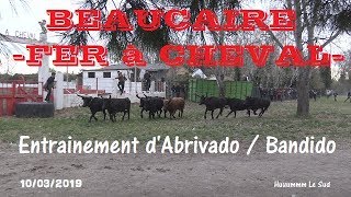 Beaucaire-FER à CHEVAL-Entrainement d'Abrivado-10/03/2019-Des Alpilles