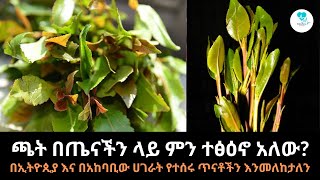 ጫት በጤናችን ላይ ምን ተፅዕኖ አለው? በኢትዮጲይ እና በአከባቢው ሀገራት የተሰሩ ጥናቶች ምን ይመስላሉ? | EthioTena |