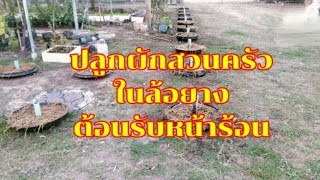 ปลูกผักสวนครัวในกระถางล้อยางต้อนรับหน้าร้อน