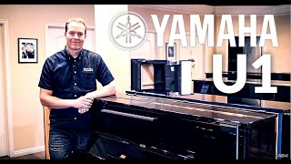 1976 Yamaha U1 #2250797