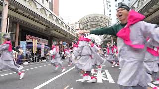 わん！～WAN～　YOSAKOIぶち楽市民祭2024　2024年11月10日　みずほ銀行前会場