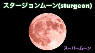 スタージョンムーン(sturgeon Moon)