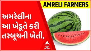 અમરેલીના આ ખેડૂતે કરી તરબૂચની ખેતી, એક જ વર્ષમાં કરોડથી વધુની આવક