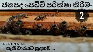 මීමැස්සන්ට රාමු  වල පැණි වද බදින්න පුරුදු කරමූ.