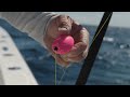 kite fishing tactics for sailfish episode 2 shimano terez bw bfc series