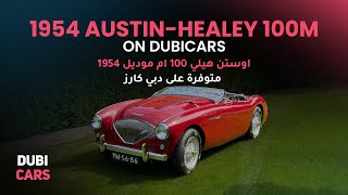 1955 Austin Healey 100M - Classic Car's Specs And Features Reviewed By DubiCars