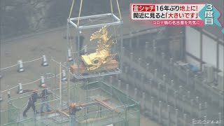 名古屋城の金シャチ…16年ぶり地上に降臨　コロナ禍を元気に　過去にも…