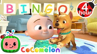 BINGO! | 4 HOUR CoComelon Nursery Rhymes