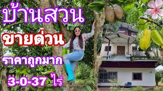 #บ้านสวน ติดถนนลาดยาง [EP.780 ทำเลดี #บ้าน2หลัง #ผลไม้เยอะ #ขายราคาถูกมาก