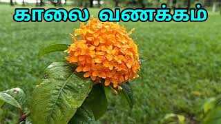 Good Morning 🌻| இனிய காலை வணக்கம் 🙏💐