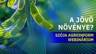 A jövő növénye? – Szója Agroinform webinárium