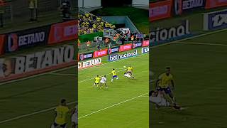 Brasil vs Venezuela | Gol de Eduard Bello |