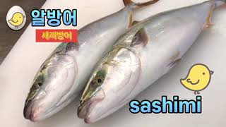 twin fish sashimi