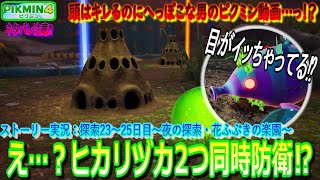 【夜の探索・花ふぶきの楽園】探索23～25日目：目がイッちゃってるフウセンドックリ⁉ヒカリヅカ２つ同時防衛⁉～ピクミン4☆実況～