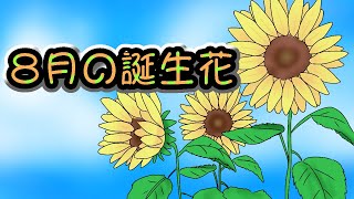 【豆知識】8月の誕生花と花言葉を教えます！