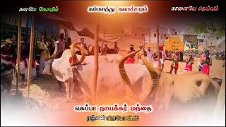 நாயக்கர் /மாலை தாண்டுதல் திருவிழா #nayakkar #rajakambalam #new