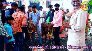 LIL PARANVANU || CHAMUNDA MATAJI NO MANDVO GUNDAKHDA || SARVAIYA PARIVAR