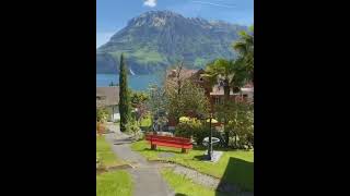 Wonderful view in Switzerland Cherry blossom | Funny, Viral Videos, Strange, Good or Bad Experience