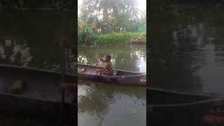 ഏഴു വയസുള്ള കുട്ടിതുഴച്ചിലുകാരൻ #fishing #kuttanadan #shorts #youtubeshorts #fishing  ♥️⚡