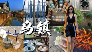 【Vlog #33】🏯江南水乡—古城乌镇 | 西栅里各种小吃 | 早茶客 | 住在水上客栈 | 杭州美食 |  游记