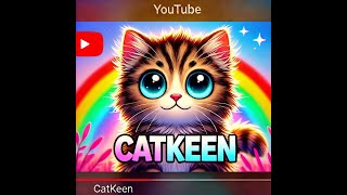 Catkeen 🐾 @catkeenbrasov585