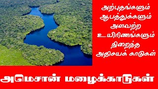 அதிசயனளும் ஆபத்துக்களும் நிறைந்துள்ள அமெசான் காடுகள்! கேட்கக் கேட்க வியப்பூட்டும் | HF Tamil