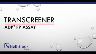 BellBrook Labs Transcreener ADP Kinase Assay Set Up