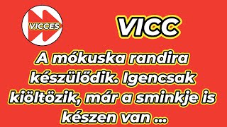 VICCES - VICC - A mókuska randira készülődik. Igencsak kiöltözik, már a sminkje is készen van ...