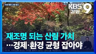 재조명 되는 산림 가치…경제·환경 균형 잡아야 / KBS  2023.09.21.