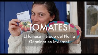 Como germinar #Tomates incluso en Invierno! | El famoso Método del Platito! Y mi lista de Variedades