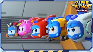 ✈ [SUPERWINGS] Superwings5 Super Pets! Full Episodes Live ✈