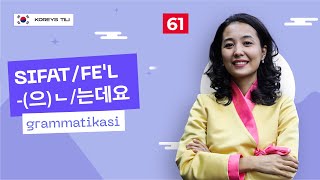 Sifat/fe'l -(으)ㄴ/는데요  grammatikasi (Bormi? Marhamat) | 61-dars | Koreys tilini 0 dan o'rganish