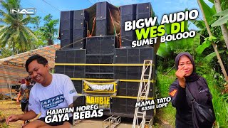 HAJATAN HOREG GAYA BEBAS|| BIGW AUDIO WES DI SUMET BOLOOOO..🔥🔥