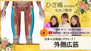 「外側広筋のセルフ整体」日本人は特に発達させやすい ひざ痛のためのセルフ整体#2〜筋肉がふわっと柔らかくなるミオンパシー|一緒にゆるめるセルフ整体LIVE