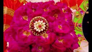 श्री हित राधा केली कुंज।राधा नाम कीर्तन।