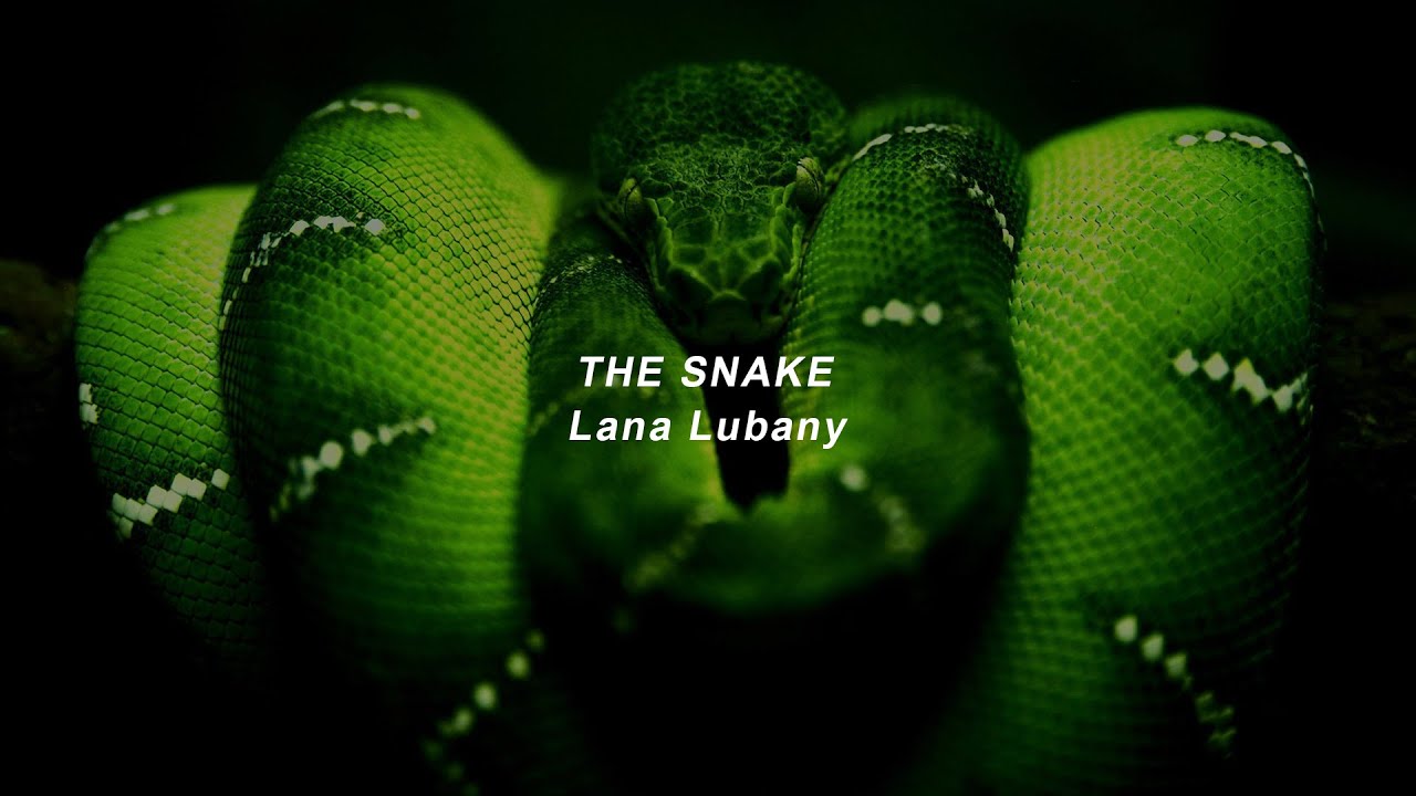 The Snake Lana Lubany Guitar At James Aviles Blog