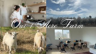 Our 1 acre Farm Tour: building a mini homestead in California