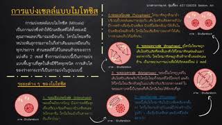 การแบ่งเซลล์แบบไมโทซิส Mitosis