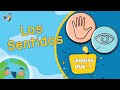 ¿Sabías qué...? - Los Sentidos (La Vista y El Tacto) #Shorts