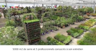 Pépinières Poulain, pépiniériste et horticulteur à Méry-sur-Oise