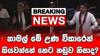 නාමල් මේ උණ විකාරෙන් කියවන්නේ හෙට නඩුව නිසාද?