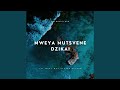 Mweya Mutsvene Dzikai | Let What Was Stolen Return
