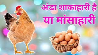 अंडा शाकाहारी है या मांसाहारी आज सुन लो सही जवाब || egg veg or Non veg in Hindi