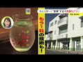 「色が変わるグラス」が更に“変化”…『色が変わり光るグラス』岐阜・多治見市のメーカー同士がコラボ