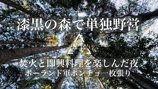 【漆黒の森で単独野営】焚火と即興料理を楽しんだ夜〜ポーランド軍ポンチョ一枚張り