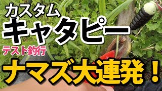 【ナマズ釣り】キャタピー カスタムのテスト釣行（なまずフッキング道）