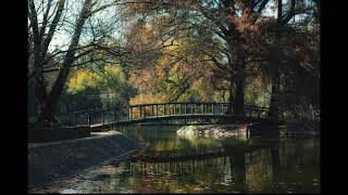 When Autumn Forgot Itself – Epic New Piano Composition by Ibovian