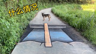 在馬路上畫個獨木橋，狗有什麼反應？#3d #3ddrawing #china #painting #drawing