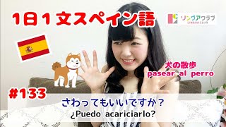 １日１文スペイン語 (#133) - さわってもいいですか？ - PASEAR AL PERRO（犬の散歩）