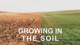 Growing in the Soil